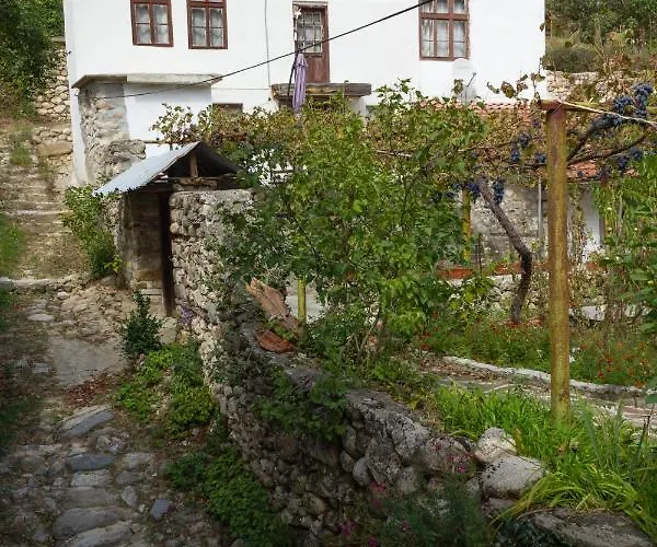 Appartement R. Dermendzhiev