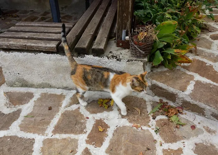 Lejlighed R. Dermendzhiev Melnik (Blagoevgrad)